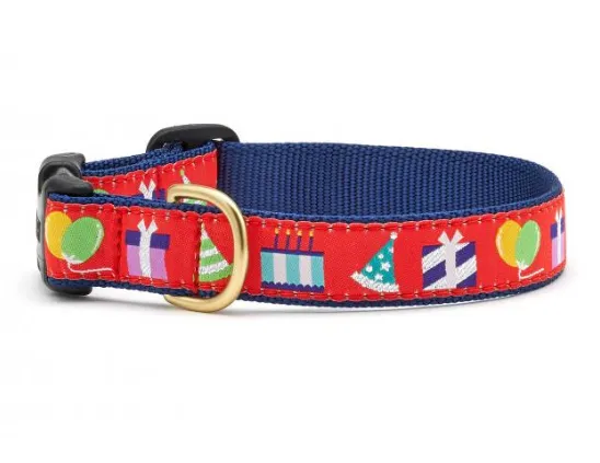 Birthday Gift Dog Collar