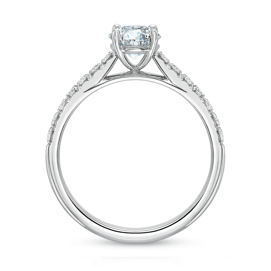 Classic Diamond Four Prong Engagement Ring with Diamond Band