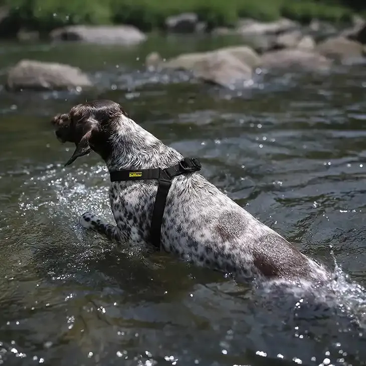 DeWater Dog Harness