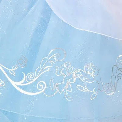 Disney Princess Cinderella Costume 4