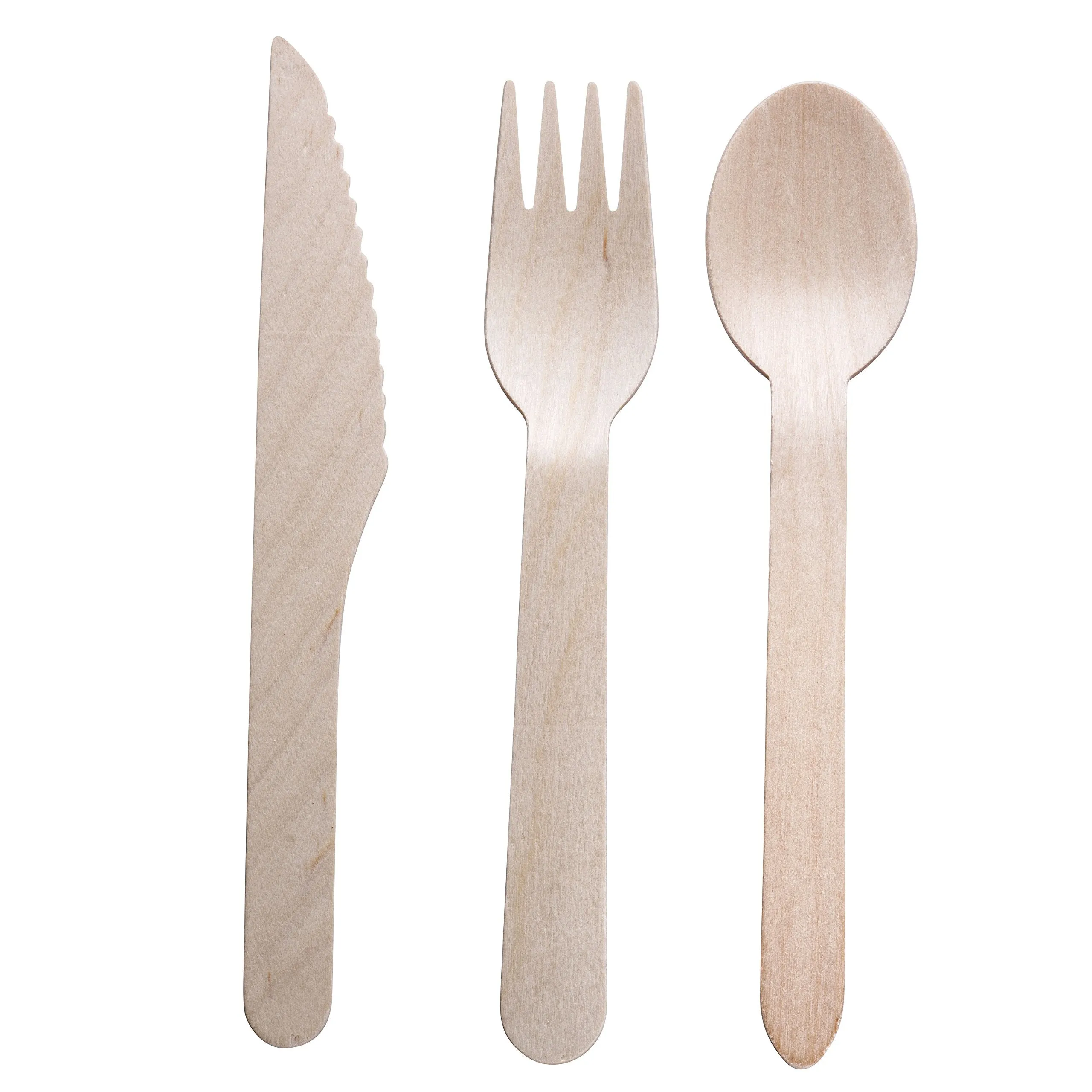 Disposable Eco-Friendly Biodegradable Wooden Cutlery, 250 Set,