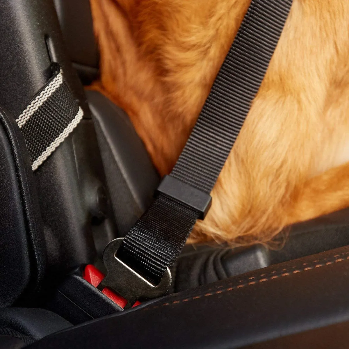 Dogit Car Safety Belt Universal Attachment