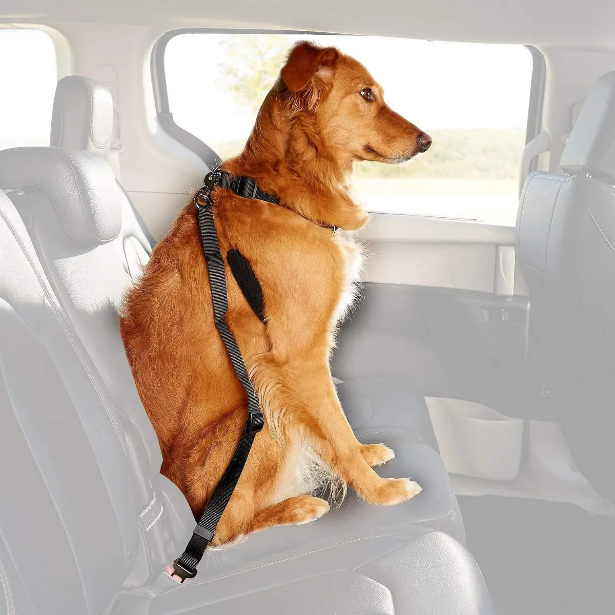 Dogit Car Safety Belt Universal Attachment