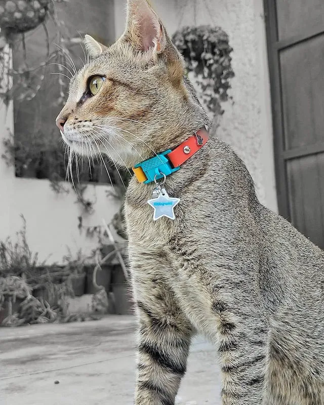 Kittyrama Reflective Star Collar Charm