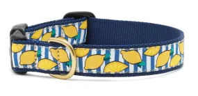 Make Lemonade Dog Collar