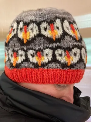 Puffin Hat Kit