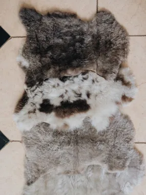 Sheepskin Pet Rug | Liner